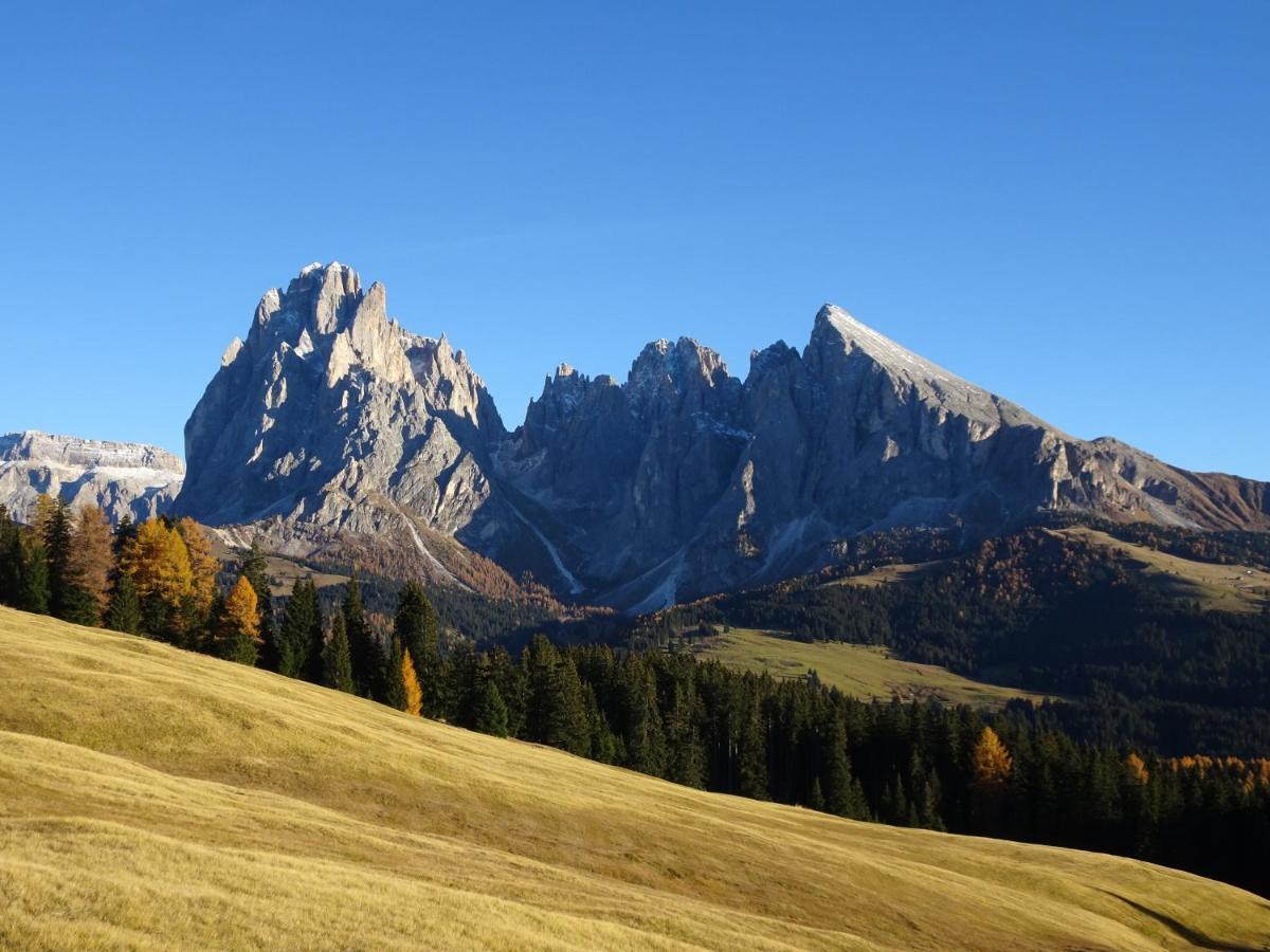 Appartamento Dolomiti เซลวาดีวัลการ์เดนา ภายนอก รูปภาพ