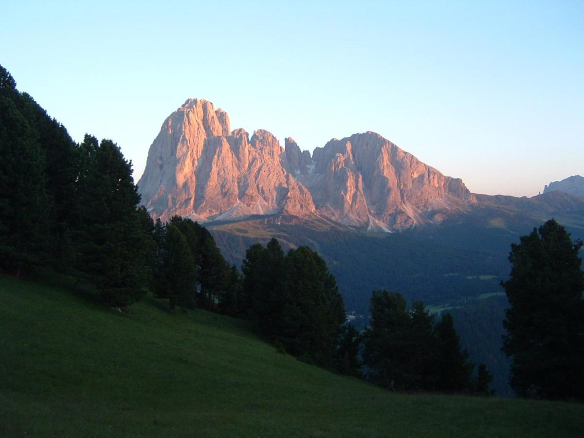 Appartamento Dolomiti เซลวาดีวัลการ์เดนา ภายนอก รูปภาพ