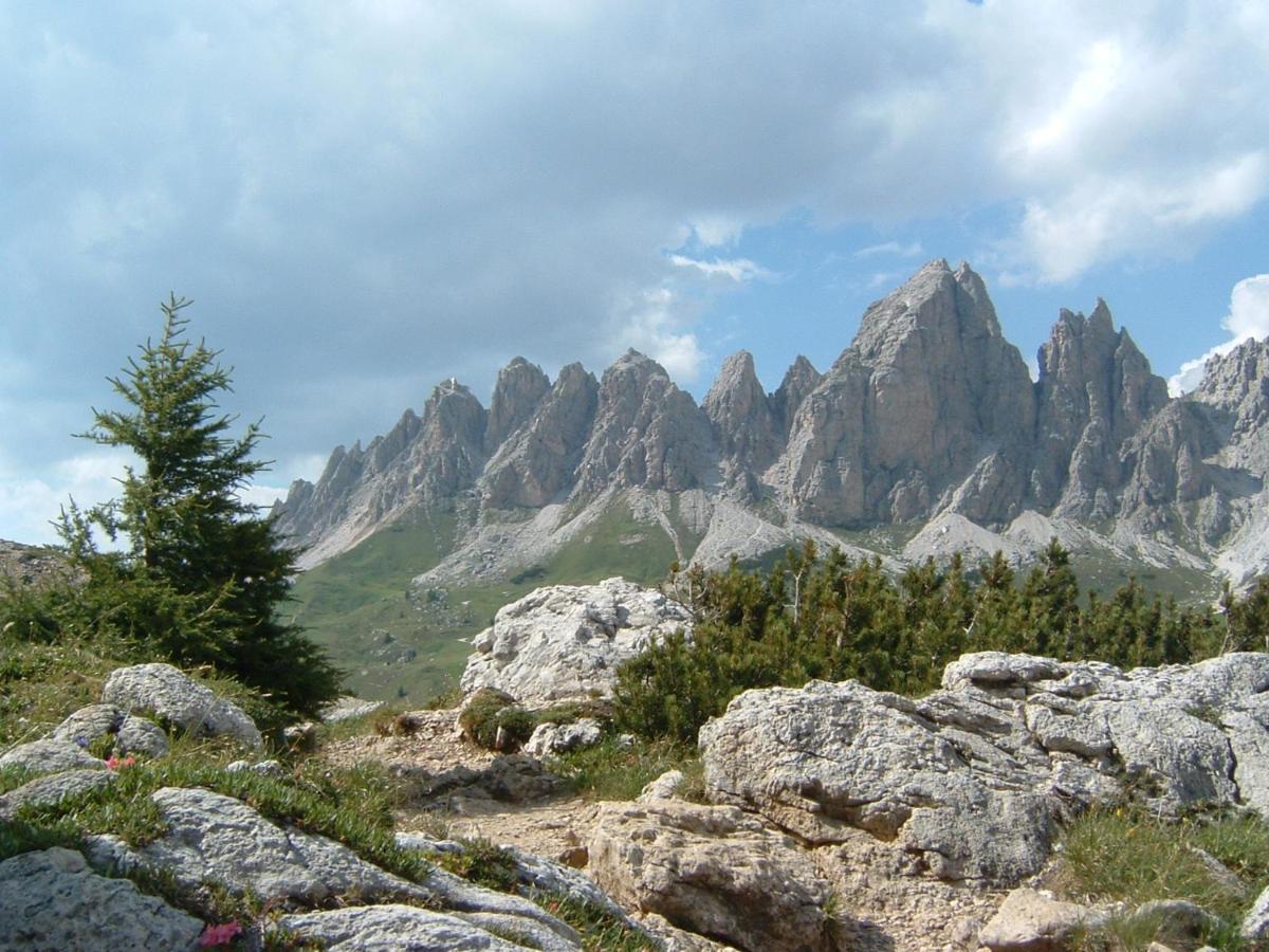 Appartamento Dolomiti เซลวาดีวัลการ์เดนา ภายนอก รูปภาพ